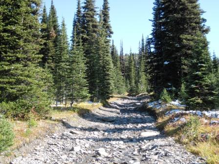Yanks Peak Trail (X-Dist)